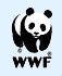 WWF